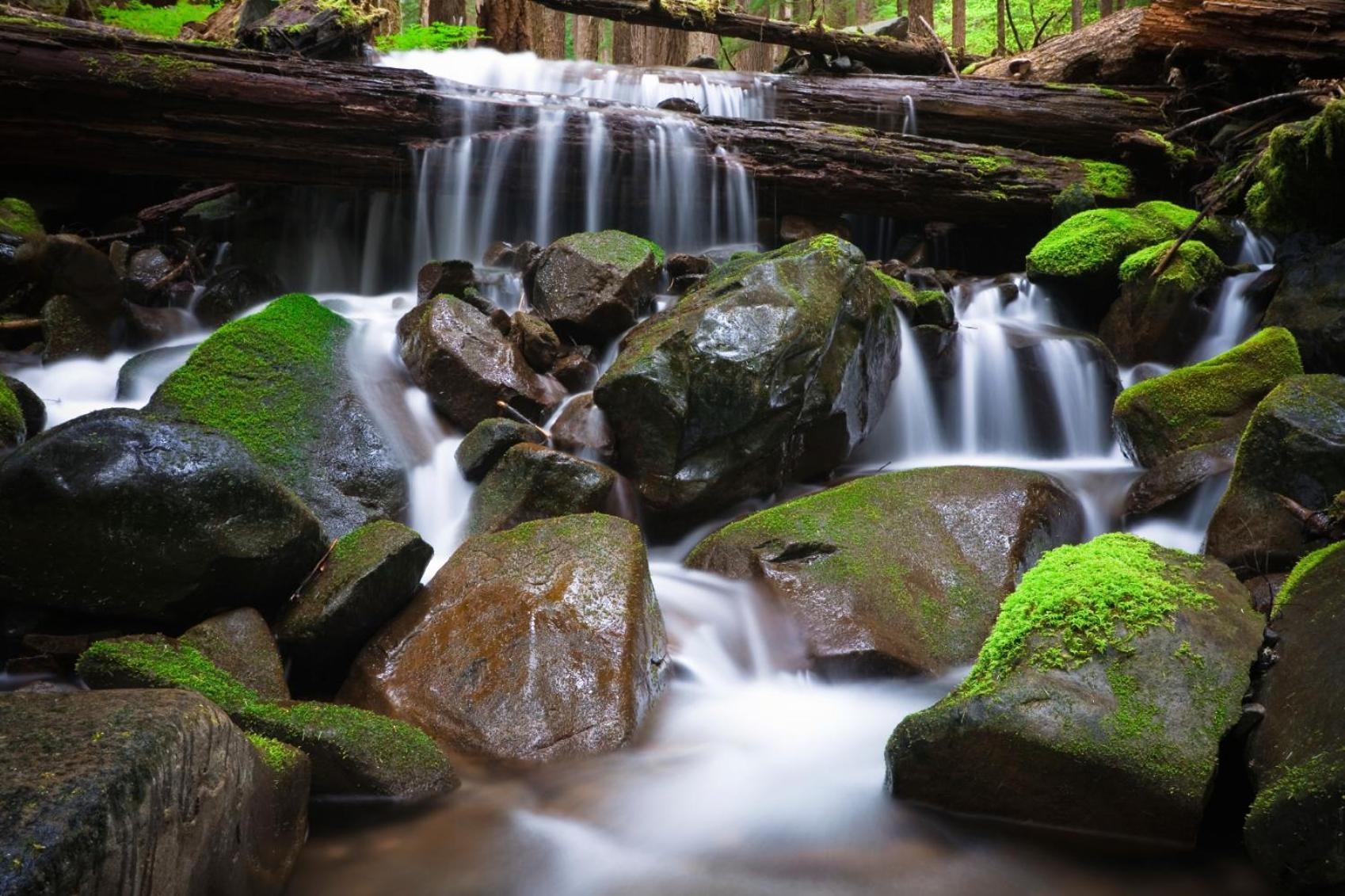 Sol Duc Hot Springs Resort Ovington Dış mekan fotoğraf