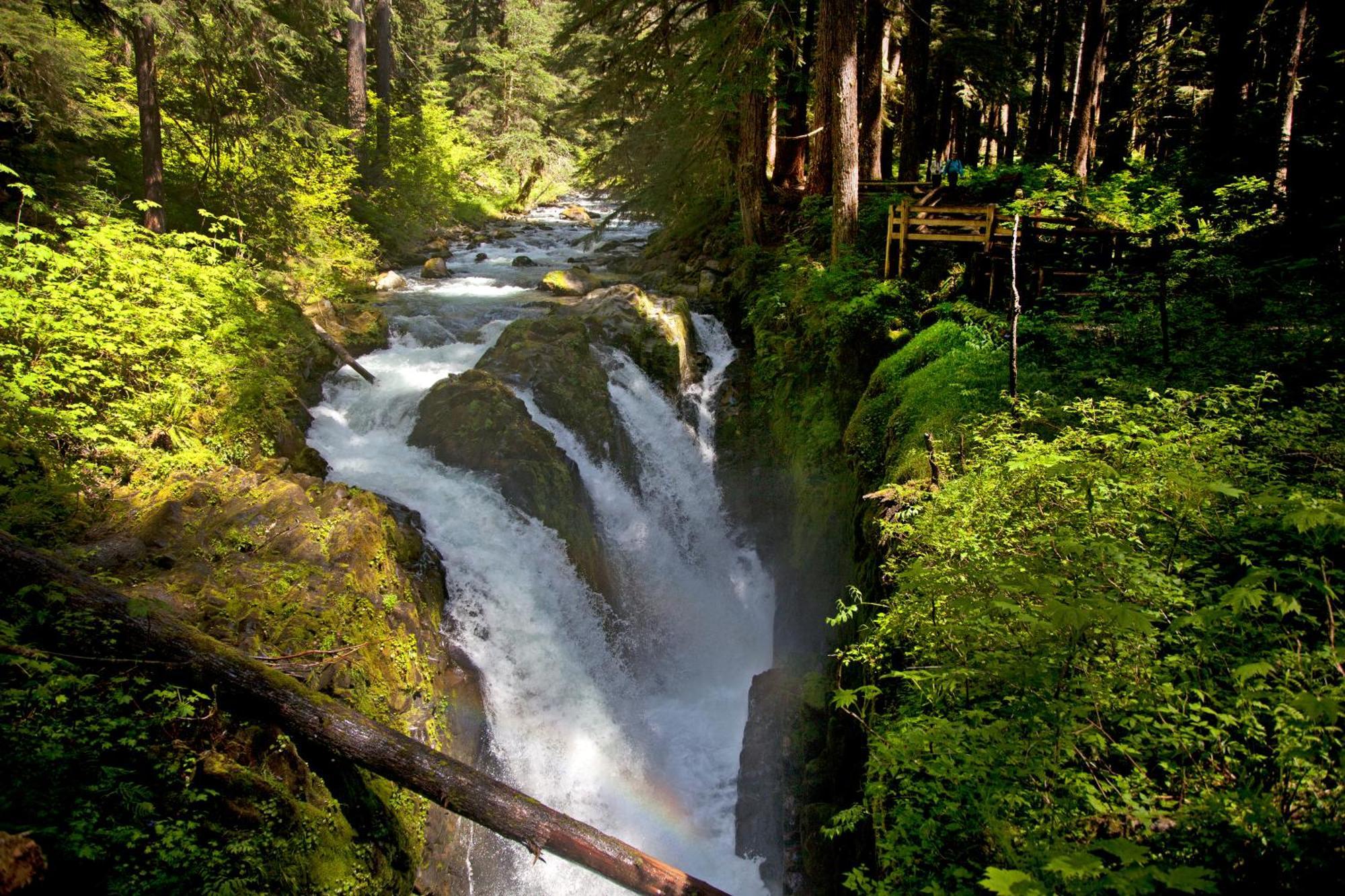 Sol Duc Hot Springs Resort Ovington Dış mekan fotoğraf